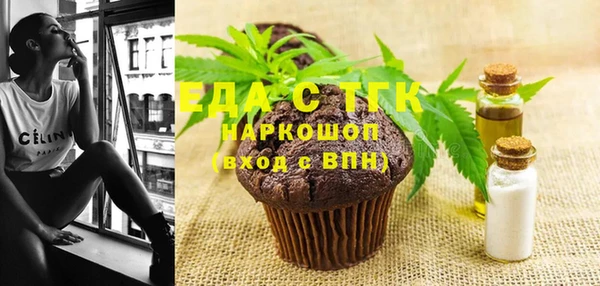 индика Лагань
