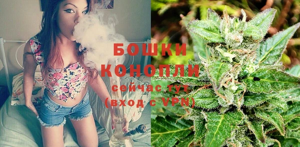PSILOCYBIN Липки