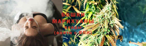 PSILOCYBIN Липки