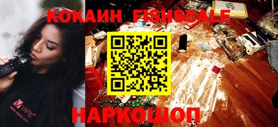 гашик Камышлов
