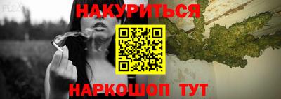 гашик Камышлов