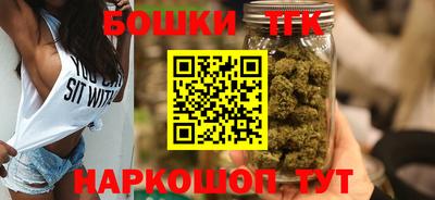 гашик Камышлов