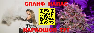 гашик Камышлов