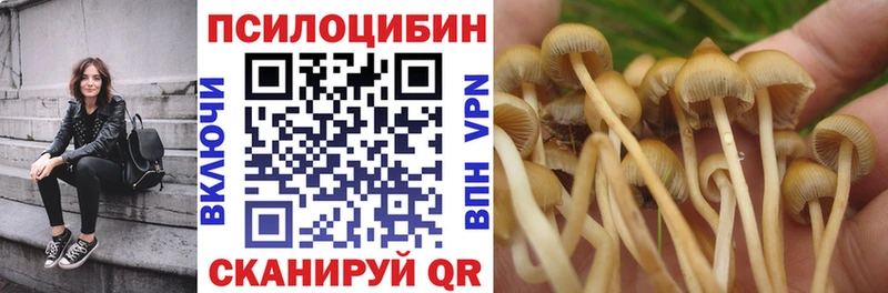 цены наркотик  Пушкино  Псилоцибиновые грибы Psilocybine cubensis 