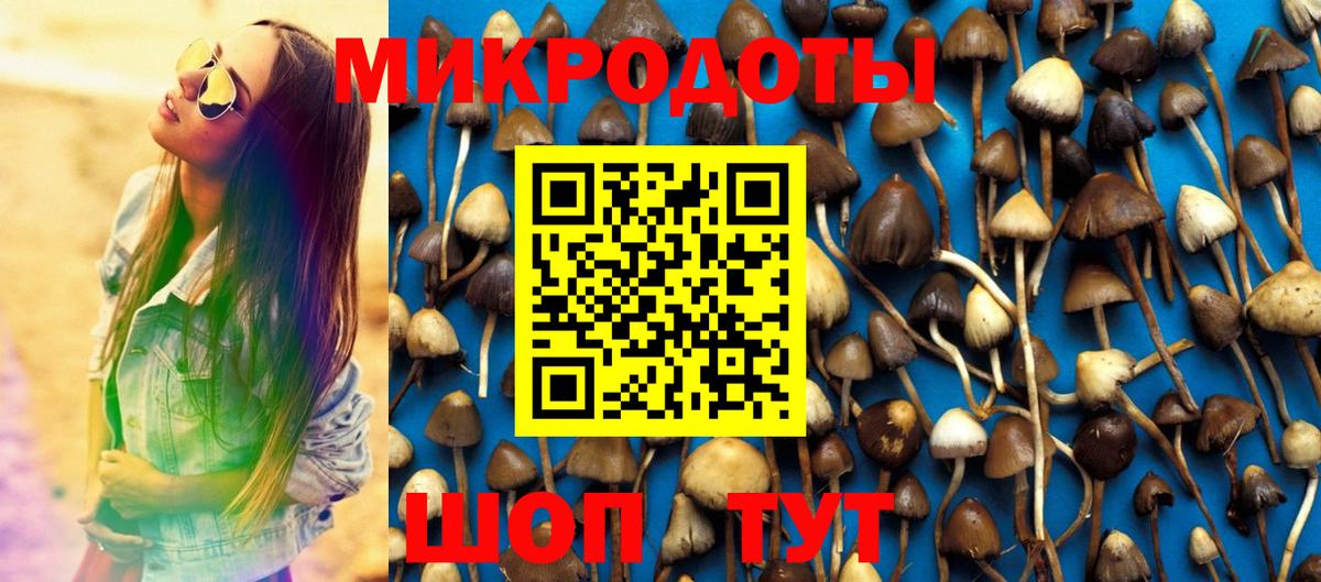 Псилоцибиновые грибы мицелий  Вход с VPN  Пушкино 